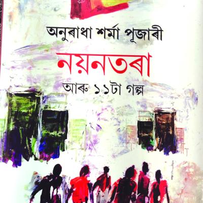 নয়নতৰা আৰু ১১টা গল্প